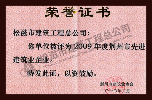 2009荆州先进企业