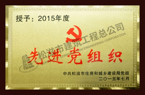 2015先进党组织